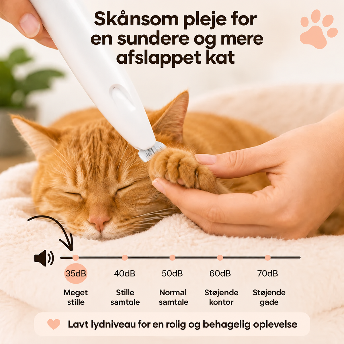 Beskyt din kat mod snavs og irritation
