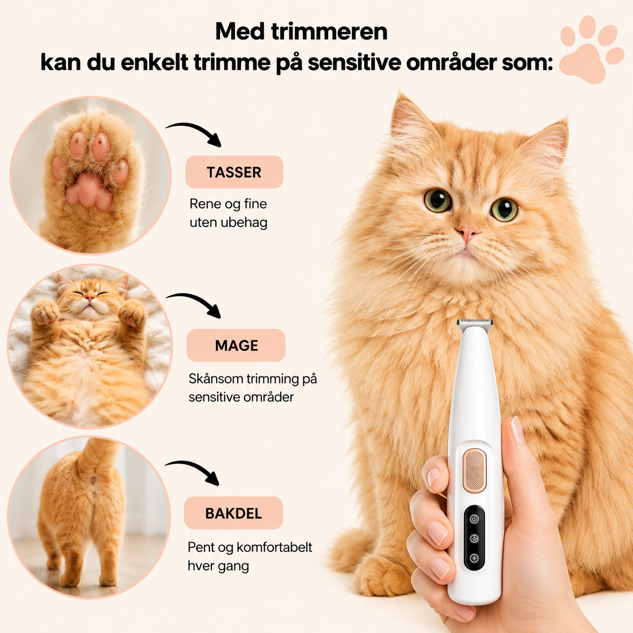 Beskytt katten din mot smuss og irritasjon